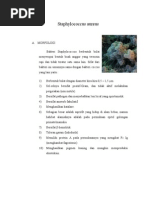 Download Staphylococcus Aureus by Dito Chan SN31851981 doc pdf