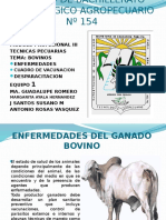 enfermedadesenbovinos