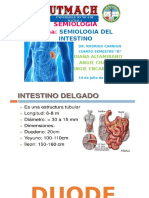 Semiologia Intestino