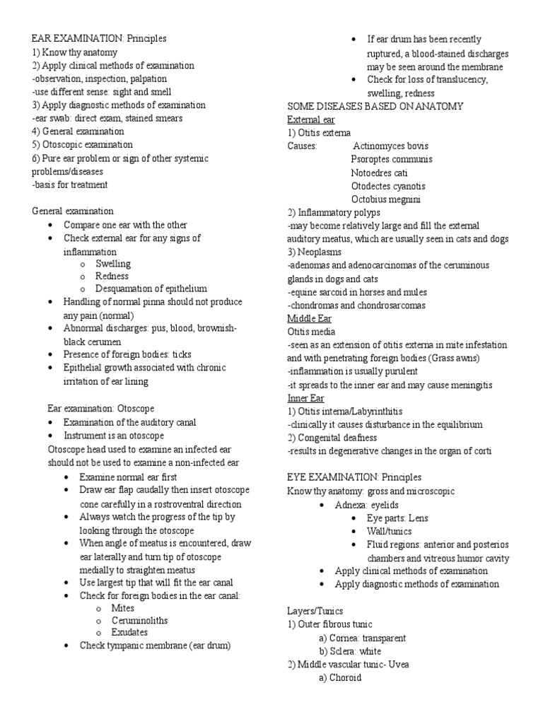 Ear Examination Ear Cornea