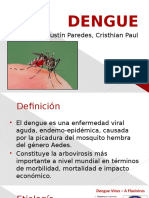 Dengue: Enfermedad viral aguda causada por picadura de mosquito