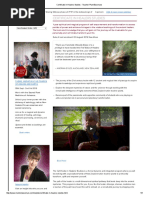 Certificate in Healers Studies - Teacher Plant Essences