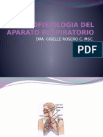 Histofisiologia Del Aparato Respiratorio Presentacion