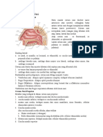 129933955-Anatomy-Cavum-Nasi.doc