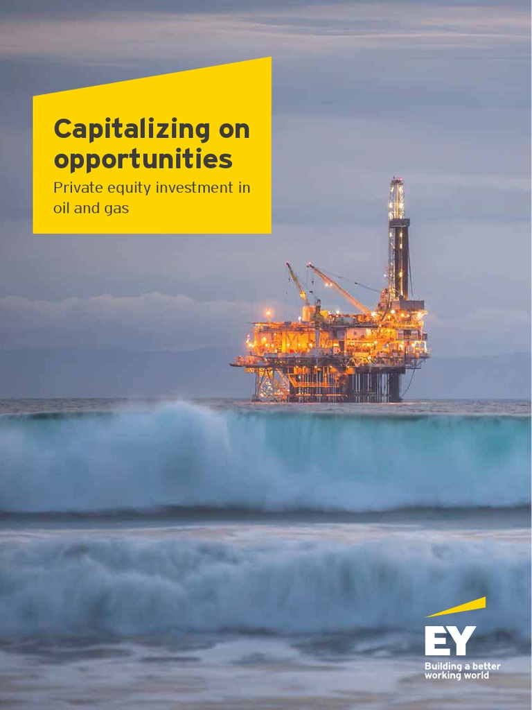 HOW PRIVATE EQUITY FIRMS ARE CAPITALIZING intelligence overview