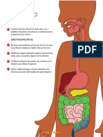Nutricion Bueno para Sexto PDF