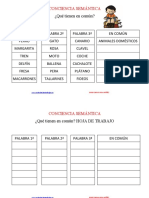 Conciencia Semantica Que Tienen en Comun