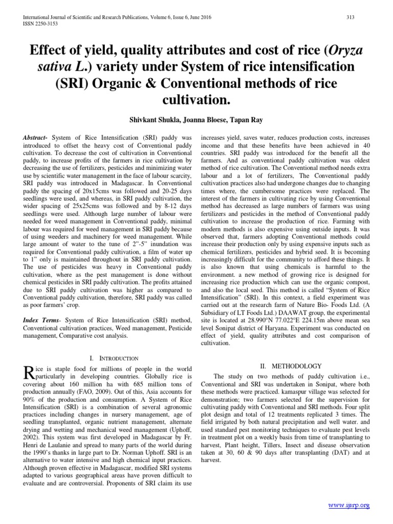 SRI vs Conventional Rice Cultivation Analysis | PDF | Paddy Field | Rice