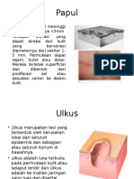 Papul dan Ulkus: Perbedaan dan Perkembangannya