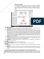 (Gen Path) Case 4, Numbers 2 and 3