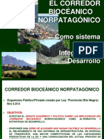 Corredor Bioceánico Norpatagónico - Presentación Aguilar