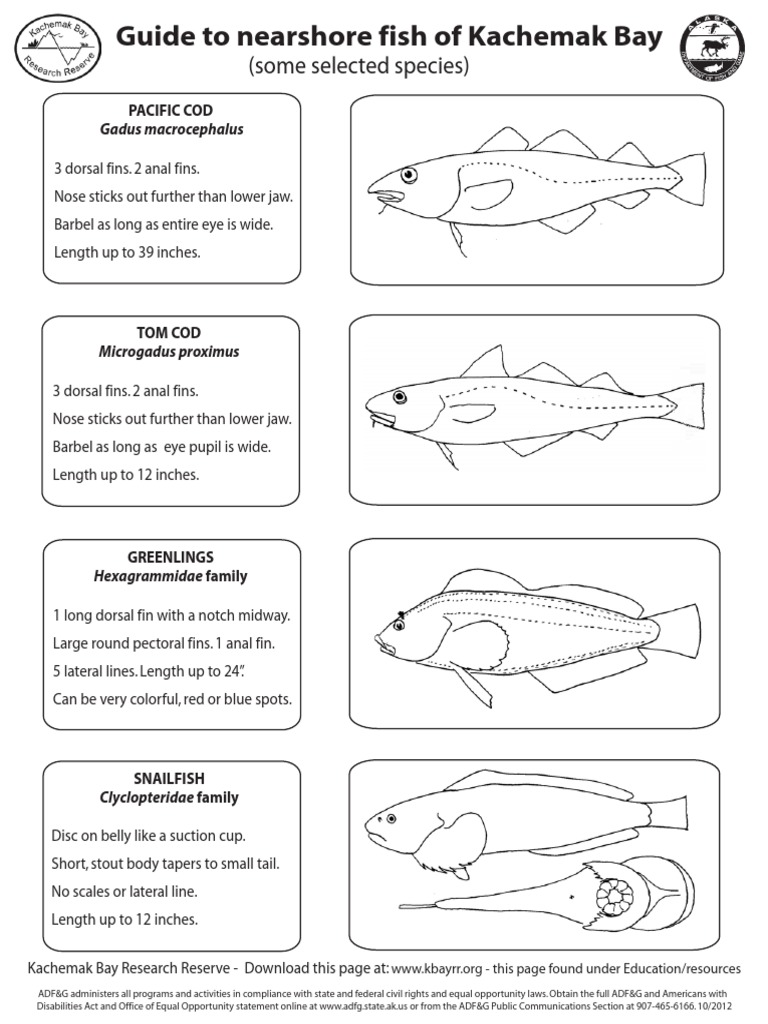 Kachemak Bay Nearshore Fish Guide | PDF | Science & Mathematics