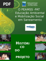 PPT 1 apresentação do peamss