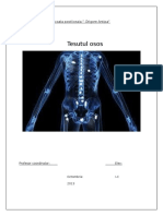 Tesutul Osos