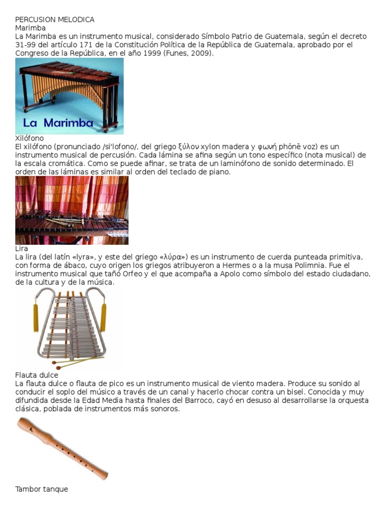 blanco como la nieve Gaseoso hada Percusion Melodica | PDF | Instrumentos de viento de madera | Guitarras
