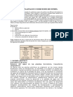 Fisiología de Plantas en Condiciones de Estrés Sarita