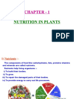 Chapter - 1: Nutrition in Plants