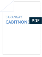 Barangay Profiles of Cabitnongan and Calaocan