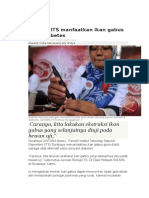 Peneliti ITS Manfaatkan Ikan Gabus Obat Diabetes