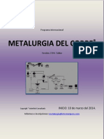 Programa Internacional Metalurgia Del Cobre