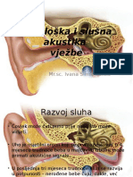 Fiziologija Sluha