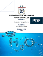 Hongos Ambientales