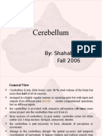Cerebellum Seminar