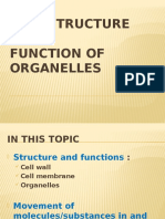 2.lecture 2 - Cell Structure and Function of Organelles