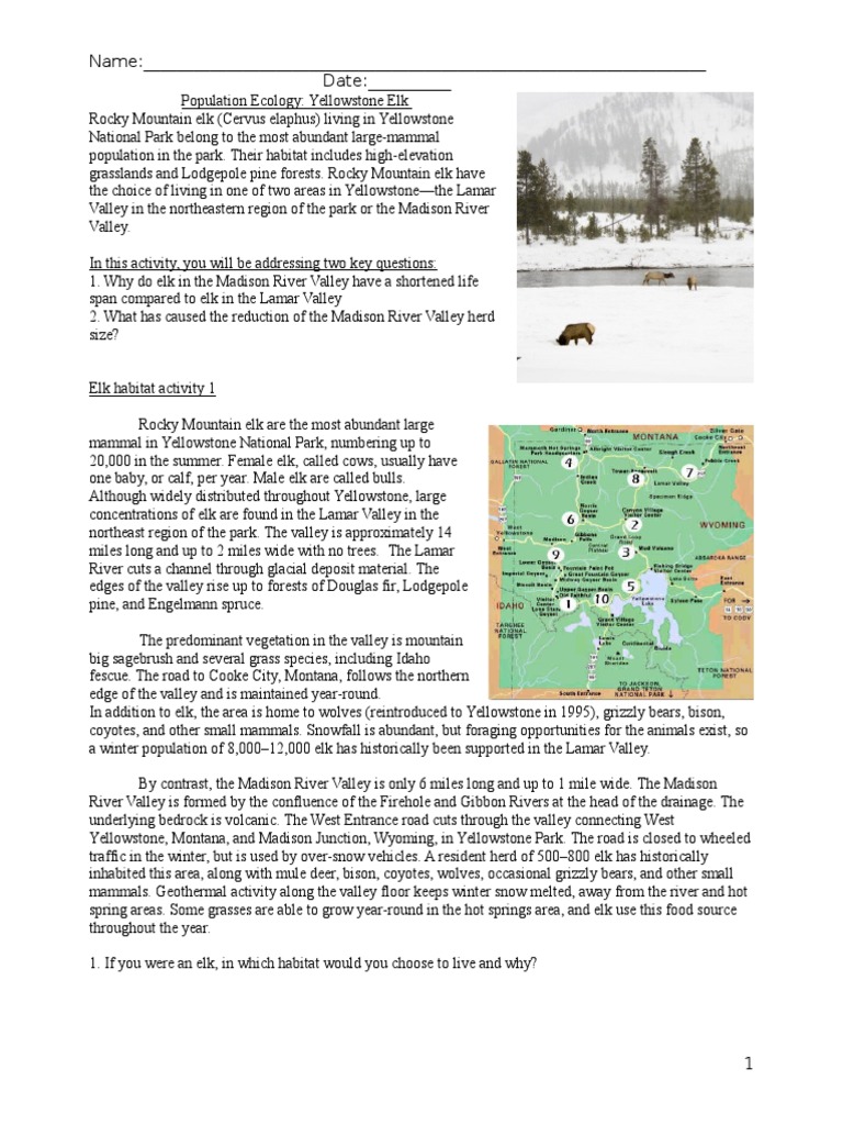 Population Ecology Project Yellowstone National Park Elk