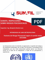 314602002-Seminario-Sunafil-Inspecciones-sobre-riesgos-psicosociales.pdf