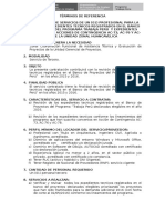 05 TDR-Asistencia Técnica y Registro de Los Proyectos_huancavelica