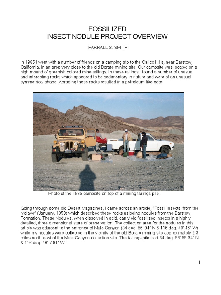 Calcified Beetle Nest Nodule Findings | PDF | Insects | Fossil