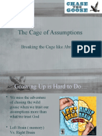 Chase The Goose - The Cage of Assumptions