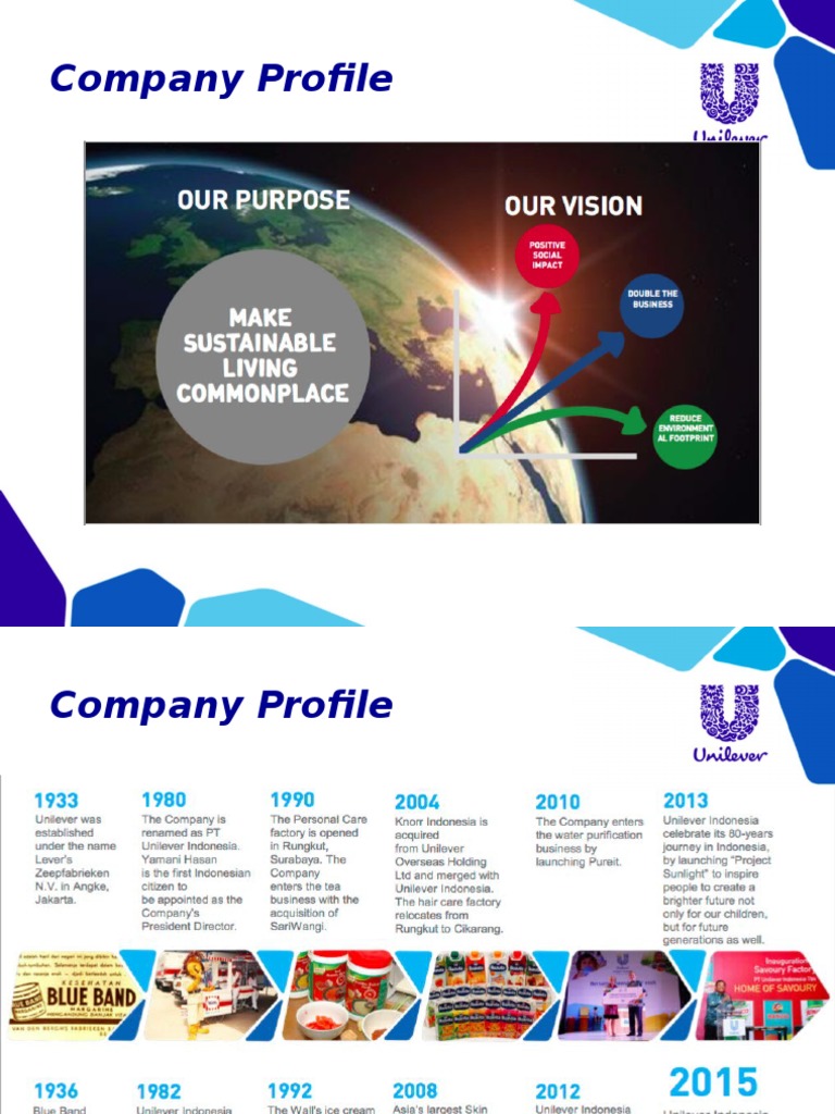 Unilever Company Profile Overview 2004 | PDF | Unilever | Innovation