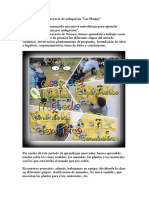 Proyecto Indagación Plantas