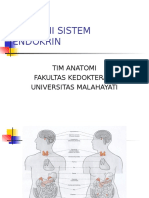Anatomi Sistem Endokrin I Rere