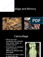 camouflage and mimicry