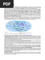 Etnografia x Etnografia Digital 5pgs