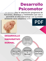 Desarrollo Psicomotor