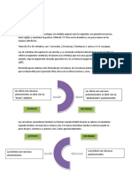 Tips  Columna Vertebral