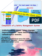 But SMS Content Is Not The Whole Story: Components of A Safety Management System