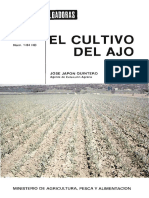 Cultivo Ajo PDF