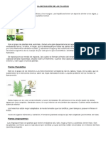 Clasificación de Las Plantas