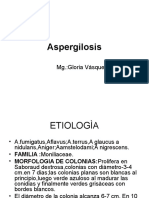 Aspergilosis