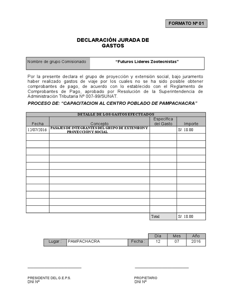 Formato de Declaración Jurada de Gastos | PDF | Gobierno