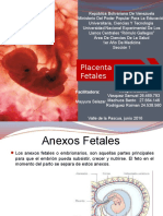 Anexos Fetales y Placenta Seminario 8