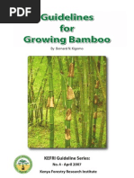 Download Guidelines for Growing Bamboo by Raymond Katabazi SN31888543 doc pdf