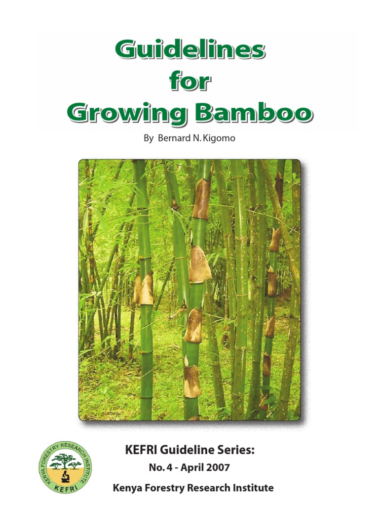 Guidelines for Growing Bamboo Bamboo Plant Nursery