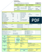 11 Formatos Puente Chaullay