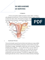 Uterus Dan Mekanisme Perubahan